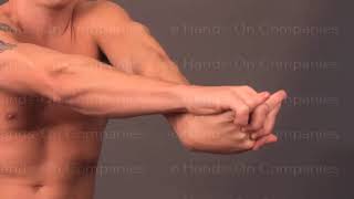 Brachioradialis Self Stretch Exercise  Using your hands [upl. by Innep327]