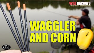 Float Fishing Waggler And Corn Match Tactics  Will Raison Fishing [upl. by Walworth995]