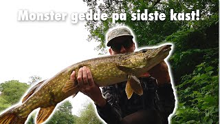 Gedde tur 🐊 på Nyborg vold 🎣 [upl. by Ynoep]