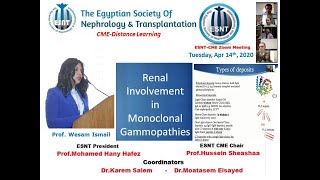 Renal involvement in monoclonal gammopathies Prof Wesam Ismail 14 April 2020 [upl. by Levania]