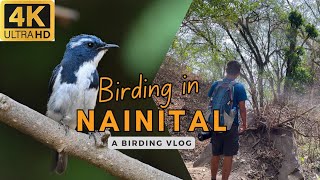 Birding in Maheskhan Forest  Birding in Sattal Episode 2  Owls amp Thrushes [upl. by Hartmunn]