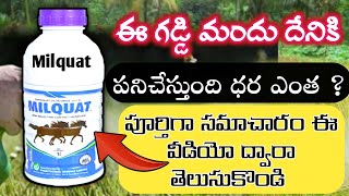 milquat uses in Telugu  milquat none selective herbicide  milquat herbicide paraquat dichloride 24 [upl. by Lena]