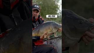 BIG CARP Caught Light Float FISHING angling mirrorcarp doublefigure upperdouble [upl. by Sekofski]