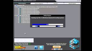 Tweakingcom  Registry Backup How to use [upl. by Oderfigis]