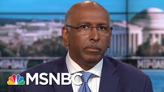 Michael Steele DeSantis Doesnt Get Benefit Of The Doubt On Monkey Comment  MTP Daily  MSNBC [upl. by Zetnom]