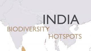 India An Amphibian Hotspot [upl. by Almallah]