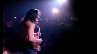 Frank Zappa quot Muffin Man quot Live Palladium 1977 HD [upl. by Nylesor]