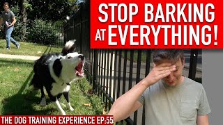 How to Train Your Dog to STOP BARKING at EVERYTHING That Moves [upl. by Alamap]