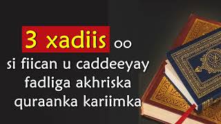 3 xadiis oo si fiican u caddeeyay fadliga akhriska quraanka kariimka [upl. by Wylde747]