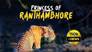 Ranthambore Zone 6 amp 10 Safari with Eagle Safaris  4K Video Hindi  हिन्दी [upl. by Yanaj]