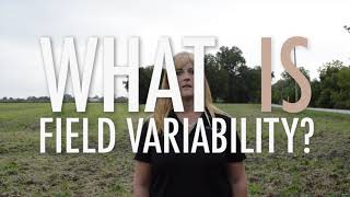 Deveron  What is Field Variability [upl. by Akinam]