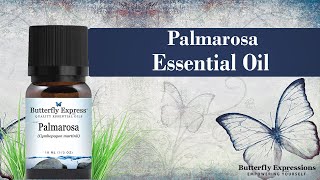 Palmarosa Essential Oil [upl. by Alinoel156]