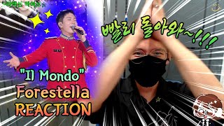 포레스텔라 고우림  일몬도Il Mondo리액션 forestella reaction☆ [upl. by Artnoed951]