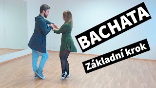 Bachata  Základní krok  Dancebuddies Online taneční [upl. by Ayotel900]