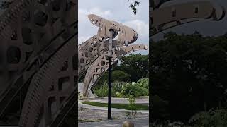 Visit Tuxtla Gutierrez Chiapas México 🇲🇽 Go to my YouTube channel and watch the full video [upl. by Wilkison]