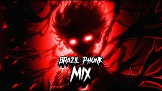 BRAZILIAN PHONK MIX  40 Minutes Of The Best Brazilian Phonk [upl. by Salamanca781]