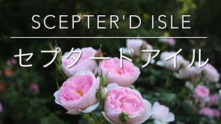 セプタードアイル Scepterd Isle [upl. by Gershom]