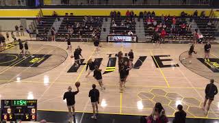 Girls JV Basketball Perham vs Detroit Lakes [upl. by Annaear394]