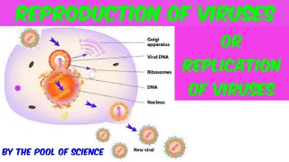 BScADPBS BotanyReproduction amp Replication of viruses by The Pool of Science [upl. by Anastassia845]