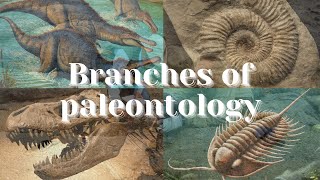 Branches of Palaeontology  All branches covered  Prehistoric Legend [upl. by Azal]