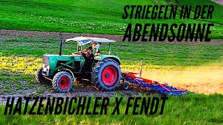 Striegeln 2024 mit Fendt und Hatzenbichler [upl. by Ater]