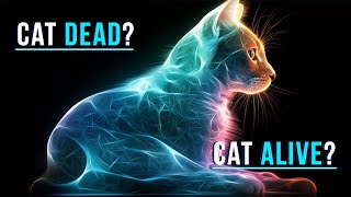 The Schrodingers Cat Visually Explained Is The Cat Dead or Alive [upl. by Namajneb]