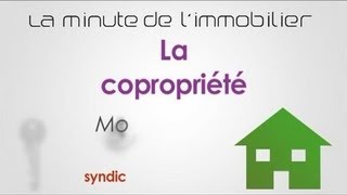 La copropriété la minute de lImmobilier [upl. by Aicetel]