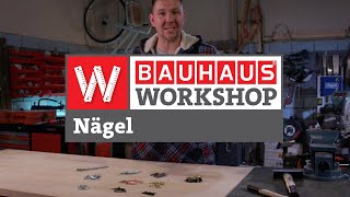 Nägel  Welcher ist der Richtige Experten Tipps  BAUHAUS Workshop [upl. by Akalam496]