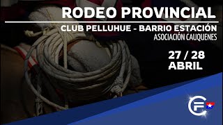 1ra SERIE LIBRE  RODEO PROVINCIAL CLUB PELLUHUE BARRIO ESTACION  ASOC CAUQUENES [upl. by Arres]