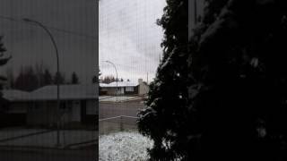 Sirens in Edmonton AB November 1 2016 [upl. by Nawek807]