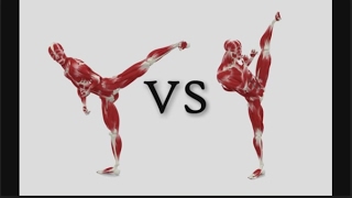 Side Kick Tutorial Anatomy Muscle Flexibility Strength Diagram Good vs Bad [upl. by Morris]