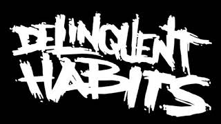 Delinquent Habits  Everyday Instrumental [upl. by Bernat875]