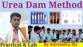 Urea Estimation of Dam Method  Urea EstimationLaboratory Estimation ofUrea surendraTechStudy [upl. by Lladnar152]