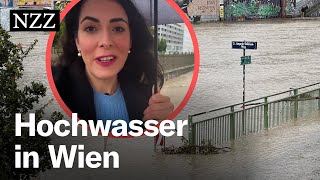 Hochwasser in Wien Nicht die Donau ist das Problem – sondern der Wienfluss [upl. by Farrington]