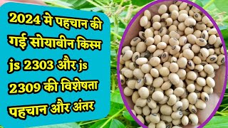 Soybean new variety 2024  Soybean new variety js 2303 aur js 2309 ki jankari [upl. by Eliades]