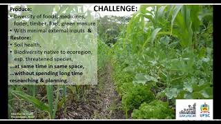 Plant ecophysiology  practitioners knowledge Decision tools for multifunctional intercropping [upl. by Eikcin]