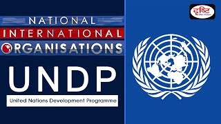 UNDP  NationalInternational Organisation [upl. by Gilliam]