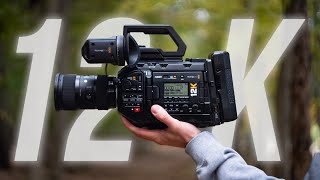 Blackmagic Ursa Mini Pro 12K Review Beautifully Overkill [upl. by Memberg308]