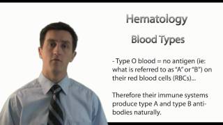 Understanding Blood Types [upl. by Katti]