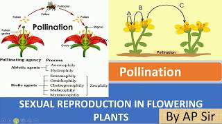 Pollination and its type [upl. by Dyun]