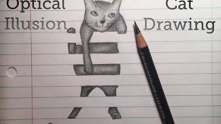 Optical Illusion Cat Drawing [upl. by Uranie915]