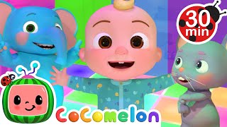 Rainbow Color Dance Song  Looby Loo  CoComelon Nursery Rhymes amp Kids Songs [upl. by Steve]