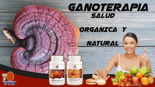 GANOTERAPIA DXN SALUD NATURAL Y ORGANICA [upl. by Florine792]