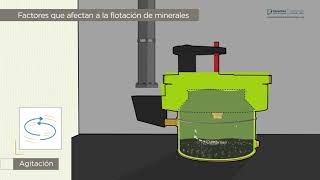 Las Fases del Proceso de Flotación  Nivel 3 Lección 22 [upl. by Houser]