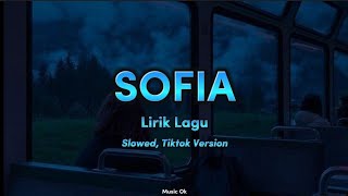 Sofia  Clairo Slowed TikTok Version [upl. by Suzan]