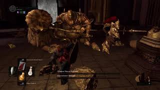 Ornstein and Smough Gravelord Sword Dance Only [upl. by Dnalevelc132]