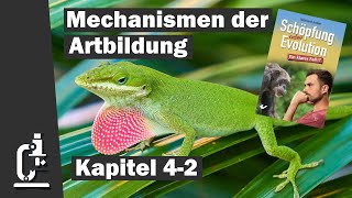 Artbildung und Darwinfinken  Schöpfung oder Evolution 42 [upl. by Iarahs664]