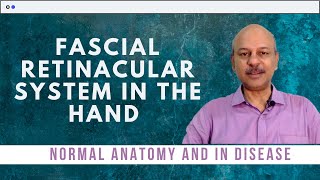 The fascial retinacular system in the hand  Normal anatomy and what happens in disease [upl. by Rehpinnej263]