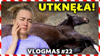 PRIMA ZABLOKOWAŁA SIĘ W BOKSIE 😱  VLOGMAS 22 [upl. by Ellehsor]