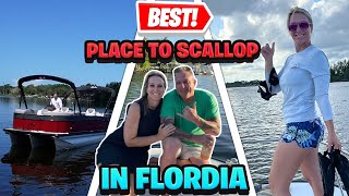 Best Scalloping in Florida [upl. by Talia]